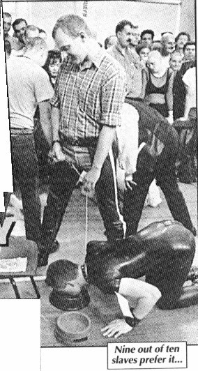 1995-dinsky